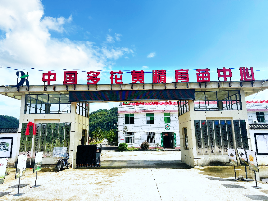 微信图片_20260827151610_416_796.png